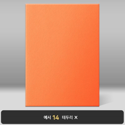 상장케이스_세로형_오렌지_엑스패턴 B19