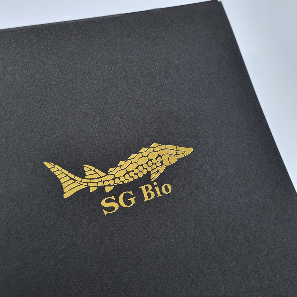 검은색 종이상장케이스 한쪽포켓형 SC000832