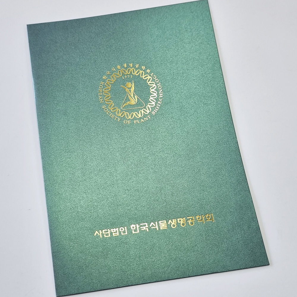 그린펄 종이상장케이스 한쪽포켓형 SC000841