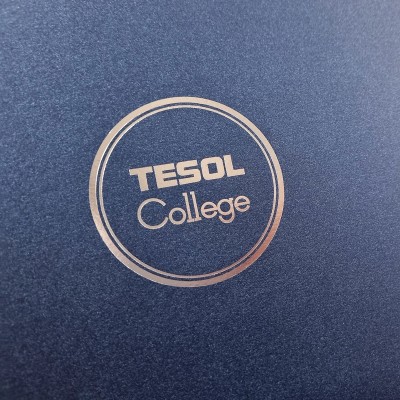 블루펄 종이상장케이스 면지형 SC000880