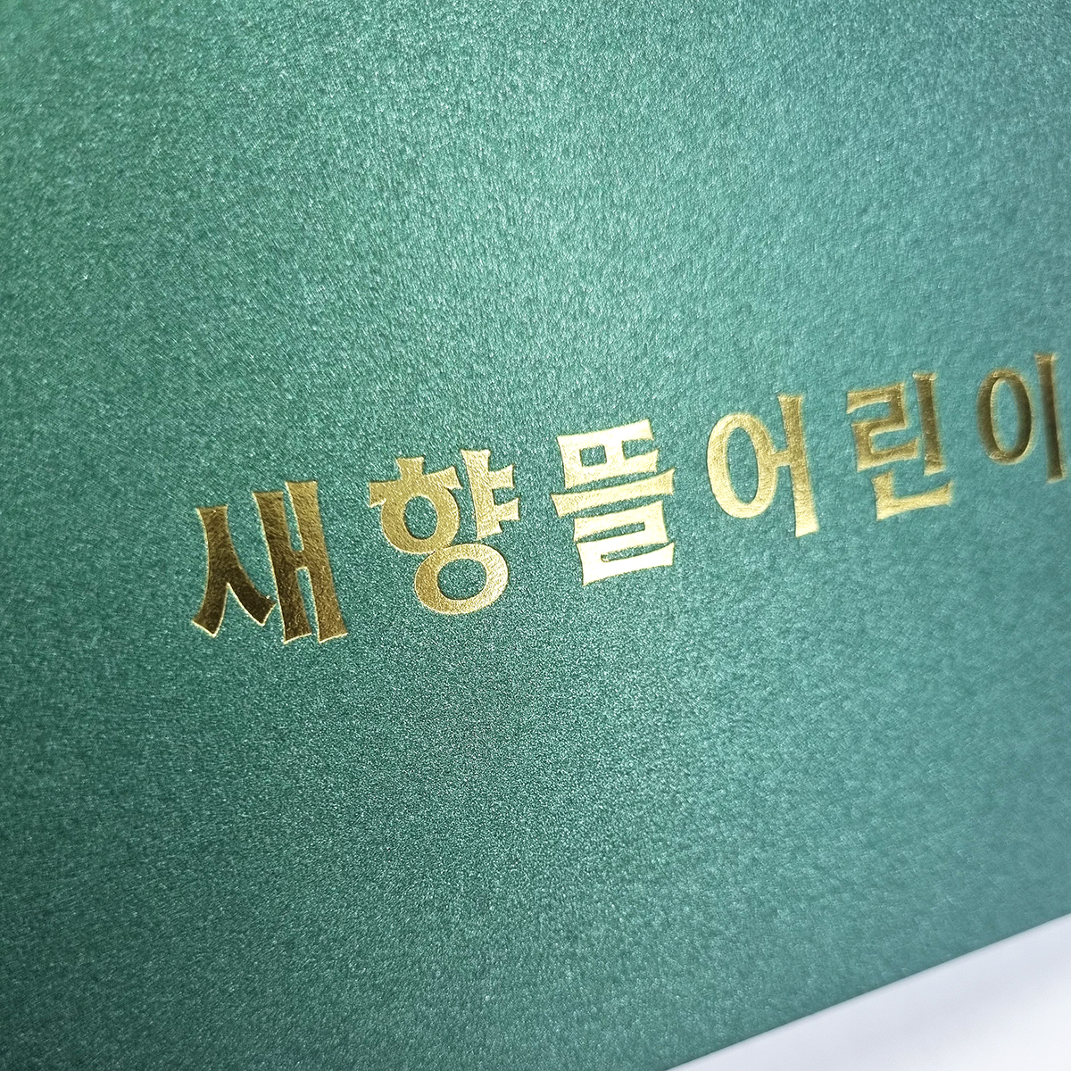 그린펄 종이상장케이스 한쪽포켓형 SC000881