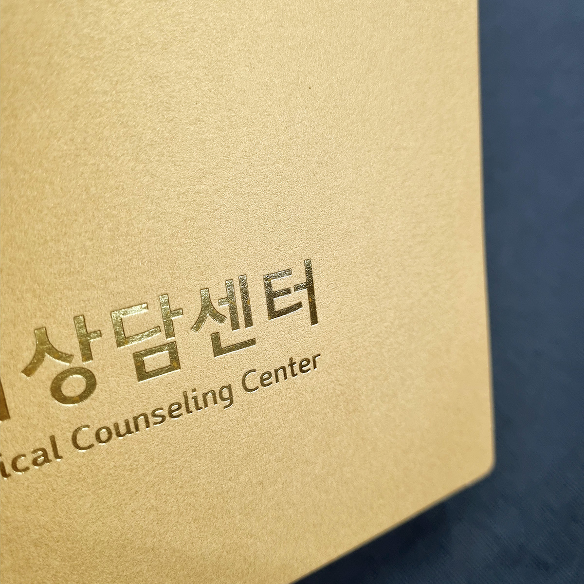 골드펄 종이상장케이스 면지형 SC000901