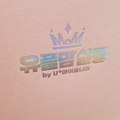 복숭아 엠보패턴 친환경 상장케이스 세로형 SC000919