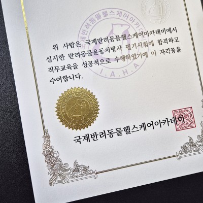 금박 상장용지 인쇄샘플 SP000218