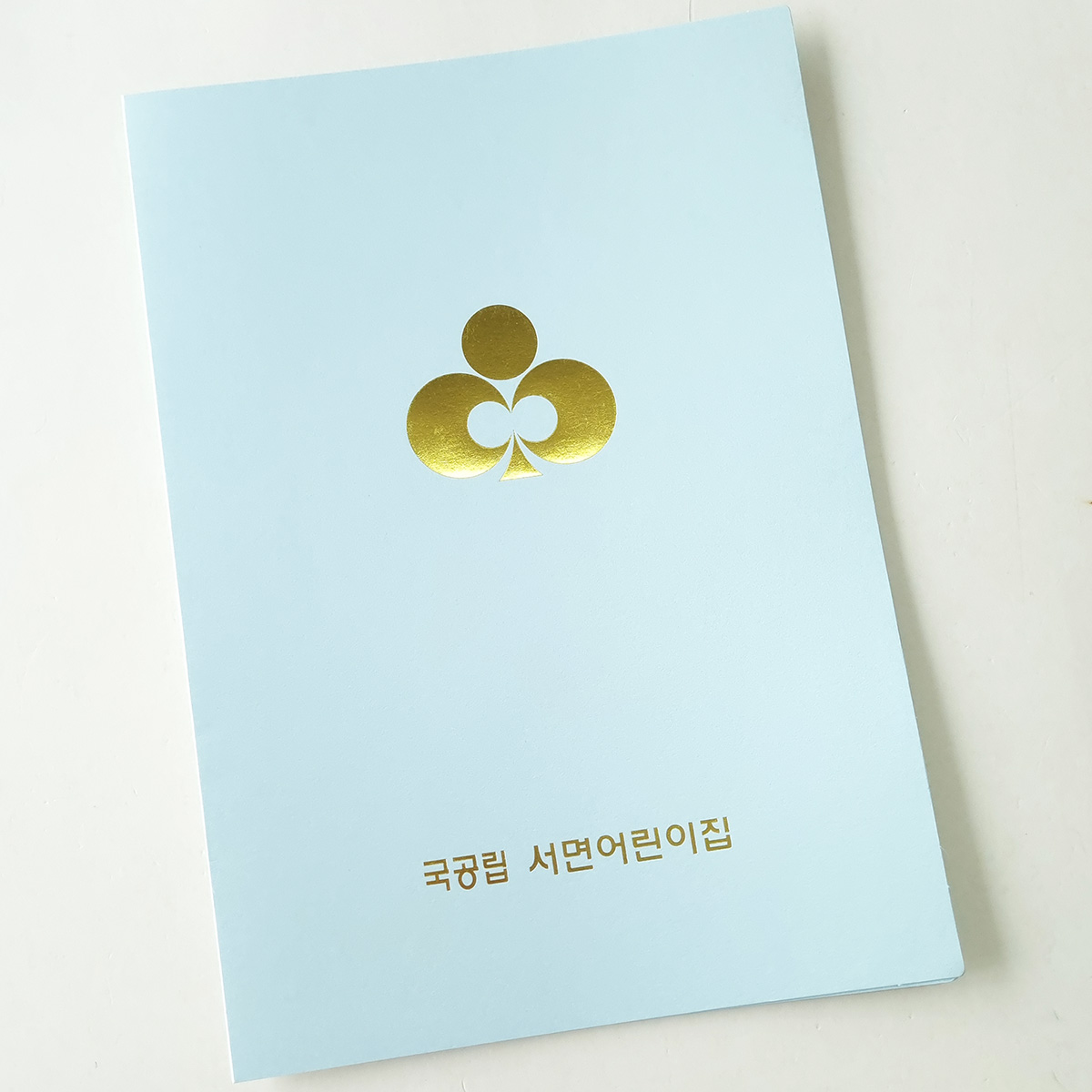 스카이블루펄 종이상장케이스 면지형 SC001042