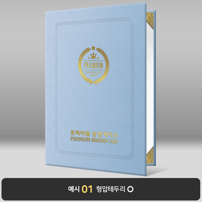 스카이 엠보패턴 상장케이스 세로형 A49